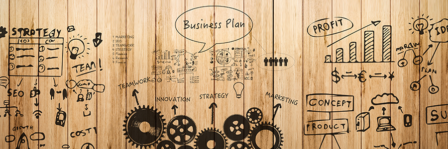 Feasibility Studies and Business Plans