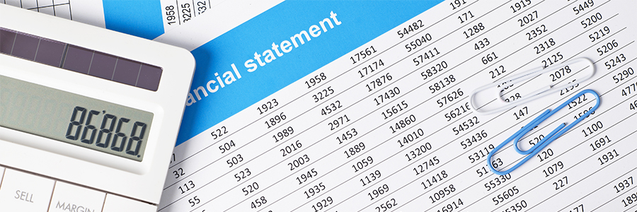 Financial Statement Audit Services